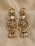 Aura Peacock Statement Jhumkas | Peacock Earrings for Women